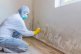  Nissequogue, NY Mold Inspection Pros