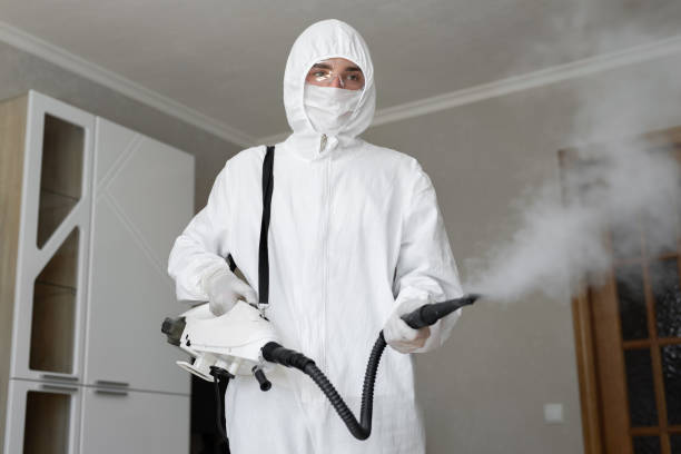 Best Mold Prevention Services  in Nissequogue, NY