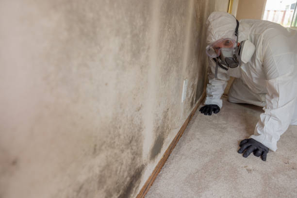 Best Biohazard Mold Removal  in Nissequogue, NY